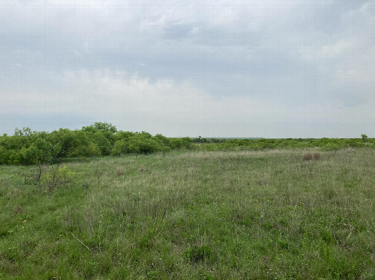 #1: Looking northwest at 34N 99W, located in the foreground