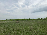 #2: Looking north from the confluence