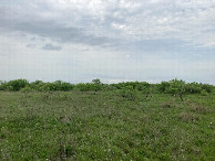 #3: Looking east