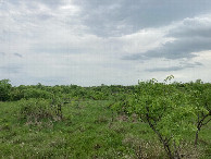 #4: Looking south