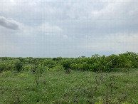 #5: Looking west; the nearby pond is hidden behind trees