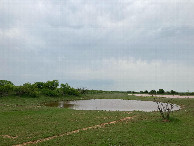 #7: Small pond, 60 meters west of 34N 99W