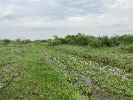 #8: A soaked path to the confluence