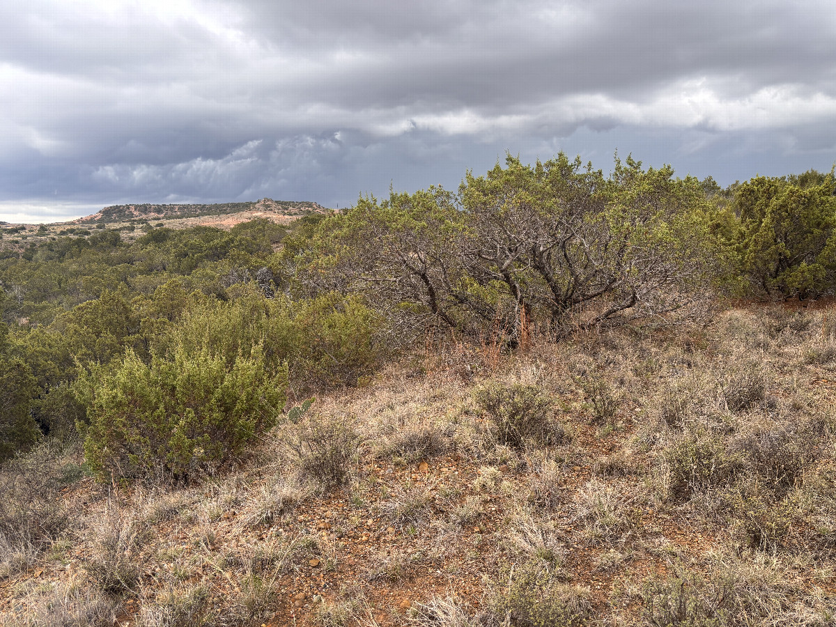 Stormy view to the south from the confluence point.