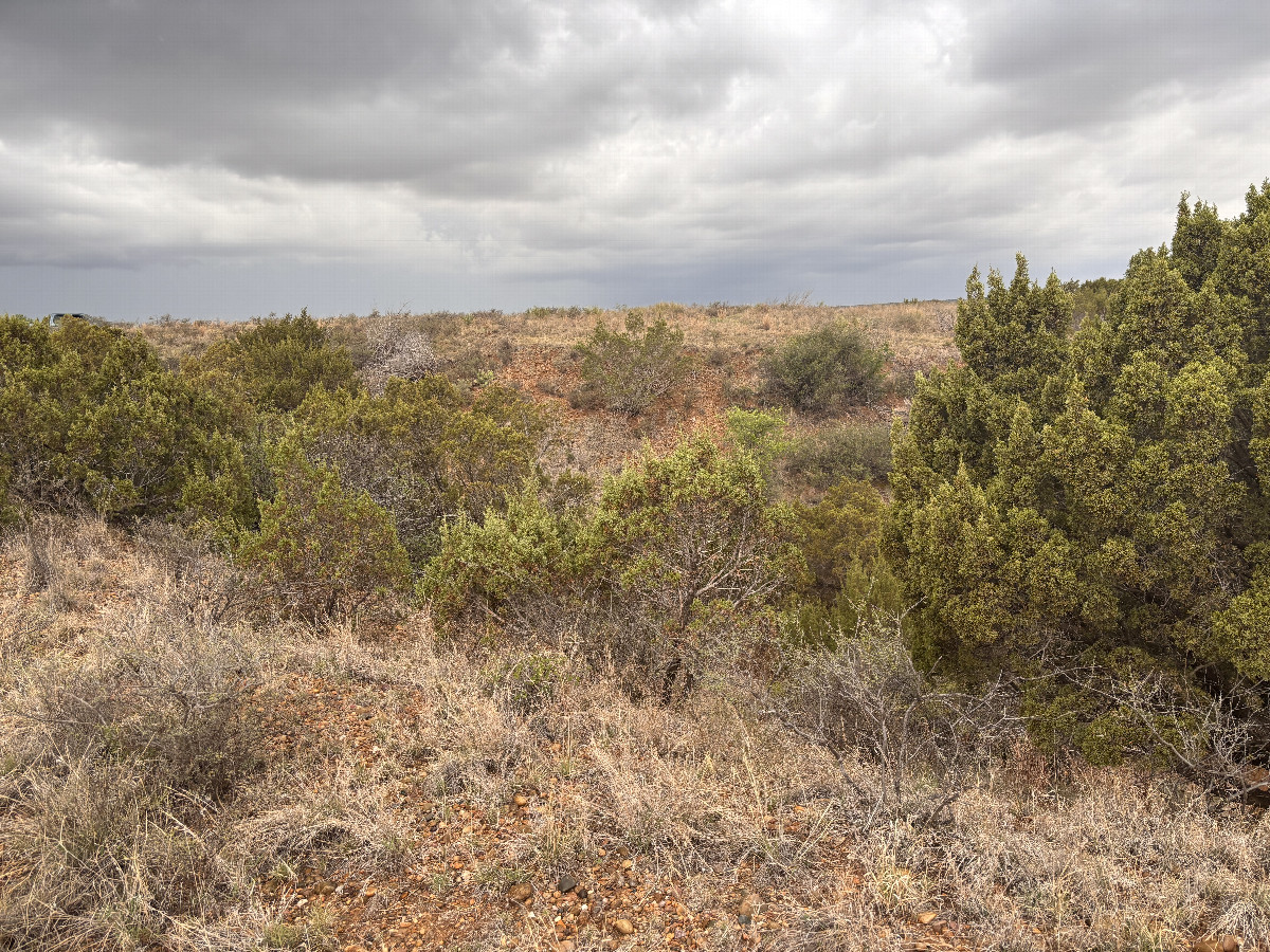View to the west from the confluence point.