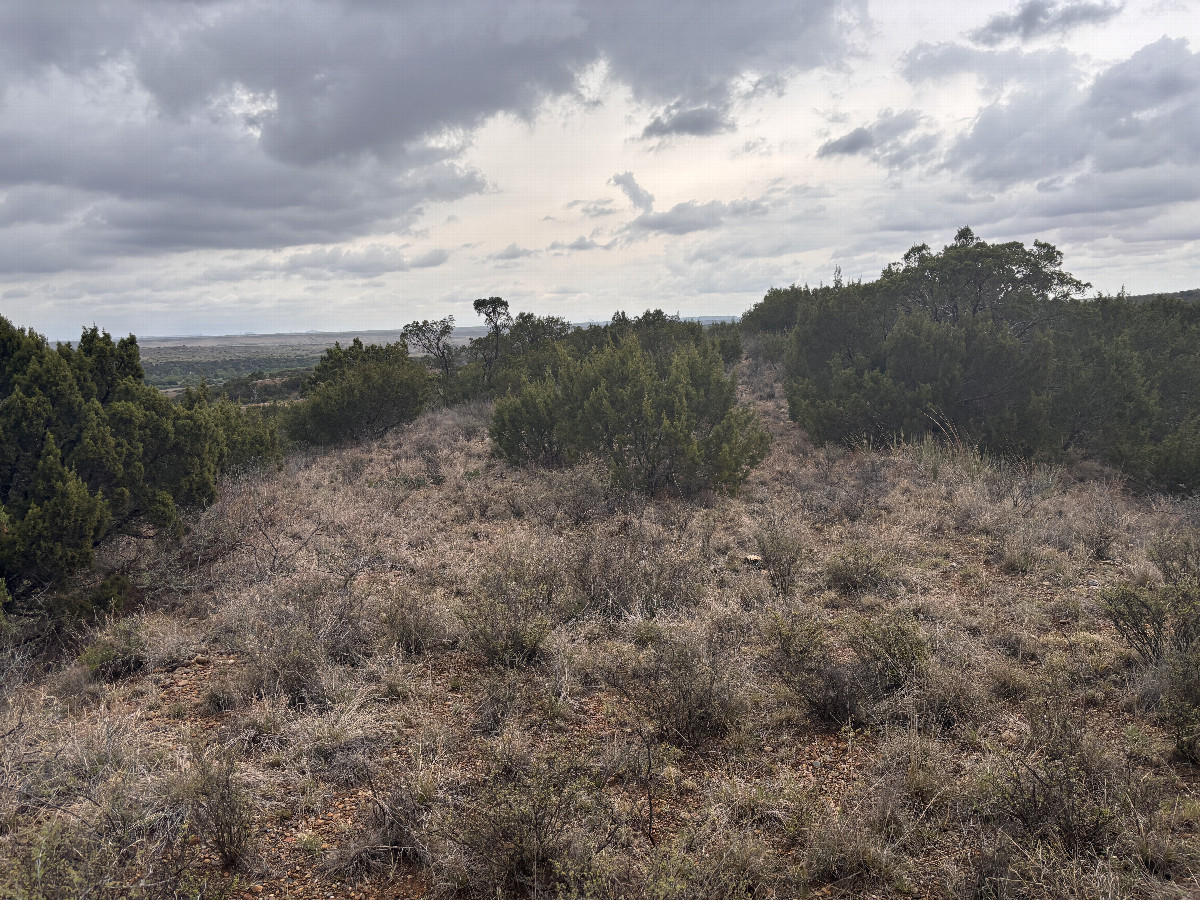 One last view, to the northeast, as the rain begins to fall.