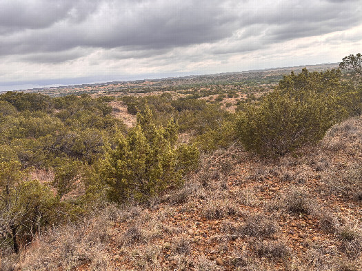 #1: The confluence lies in the foreground of this photo, looking north northeast.