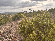 #2: Looking north from the confluence point.