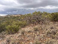 #4: Stormy view to the south from the confluence point.