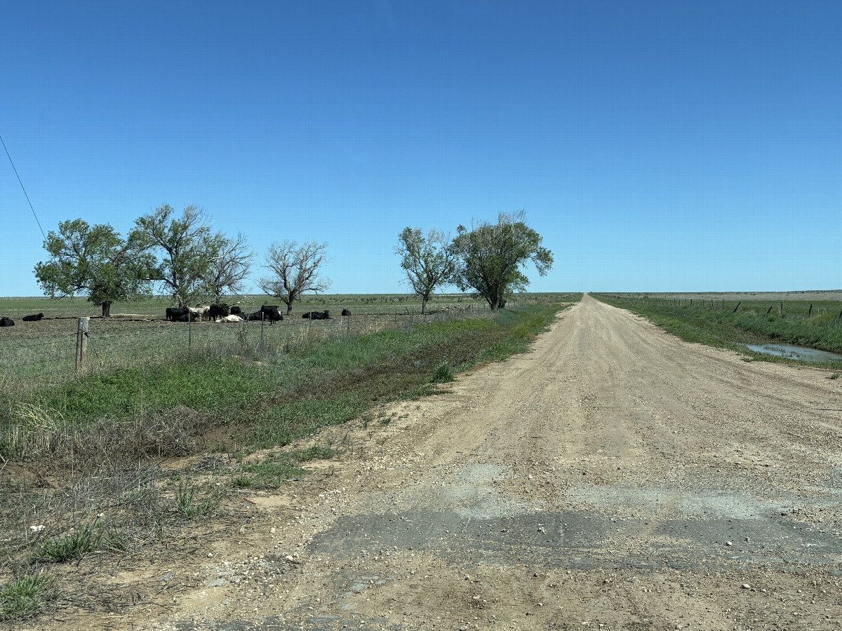One of the straight roads near the confluence. 
