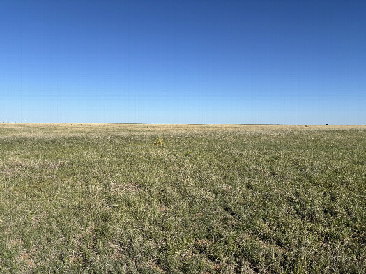 #1: View of the confluence in the foreground looking northwest.  