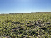 #3: A view to the east from the confluence point. 