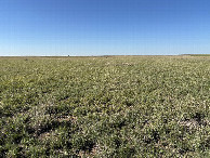 #4: A view to the south from the confluence point. 