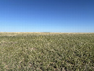 #5: A view to the west from the confluence point.