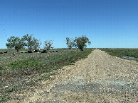 #9: One of the straight roads near the confluence. 