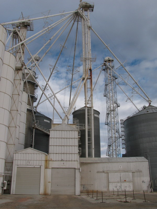 Grain processing facility