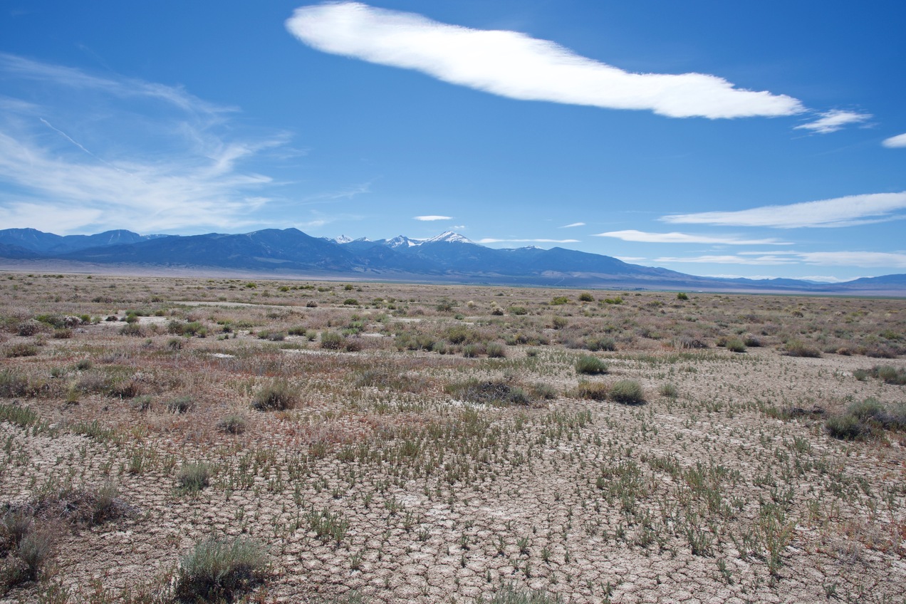 The confluence point lies in a flat expanse of desert.  (This is also a view to the West, towards 13,065 ft Wheeler Peak, in Nevada’s Great Basin National Park.)