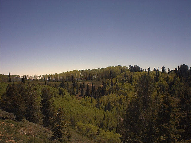 South.  Note sagebrush, aspens, and firs.