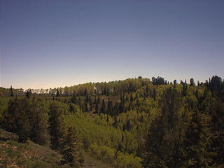 #1: South.  Note sagebrush, aspens, and firs.