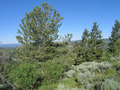 #4: View west