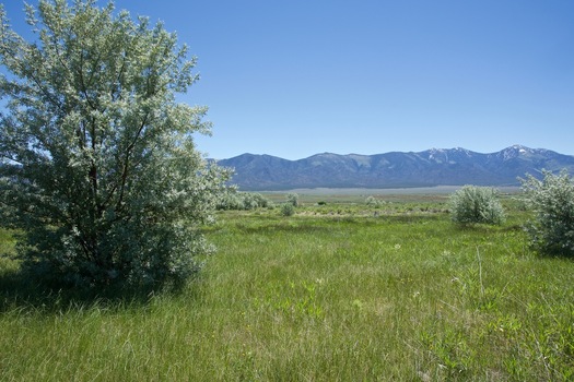 #1: The confluence point lies in a grassy, slightly marshy area within the Deep Creek Valley.  (This is also a view to the East.)