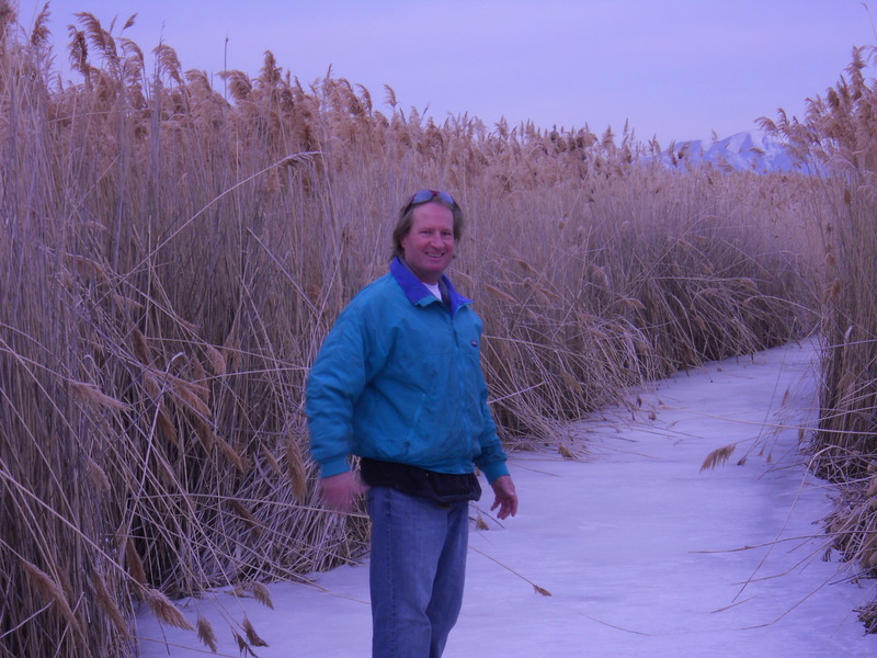 Frozen path through the reeds