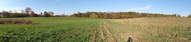 #5: WNE panoramic view from our position 28 m west of the CP