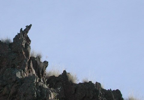 Howling Coyote Rock Formation