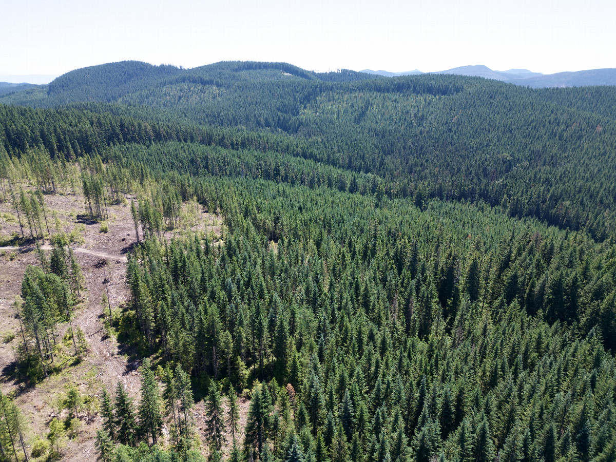 View South, from 120m above the point