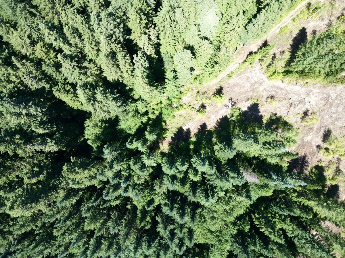 Looking down on the point from a height of 120m