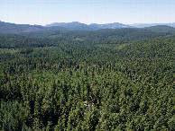 #11: View West, from 120m above the point