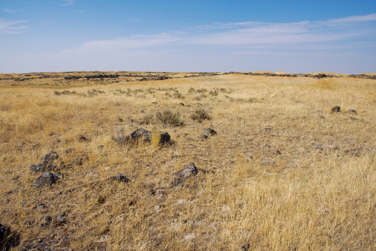 The confluence point lies grassland, strewn with volcanic rocks.  (This is also a view to the North.)