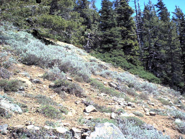 Exact confluence point, above basalt cliff
