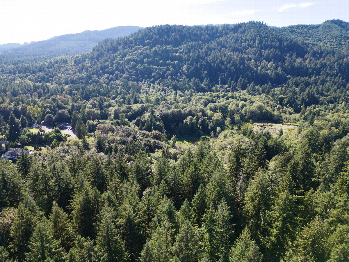 View West (of the McLane Creek Trail wetlands), from 120m above the point