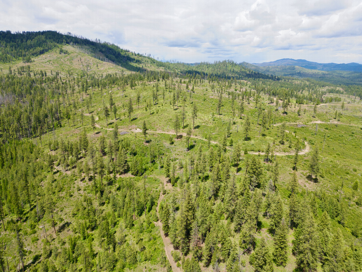 View North, from 120m above the point