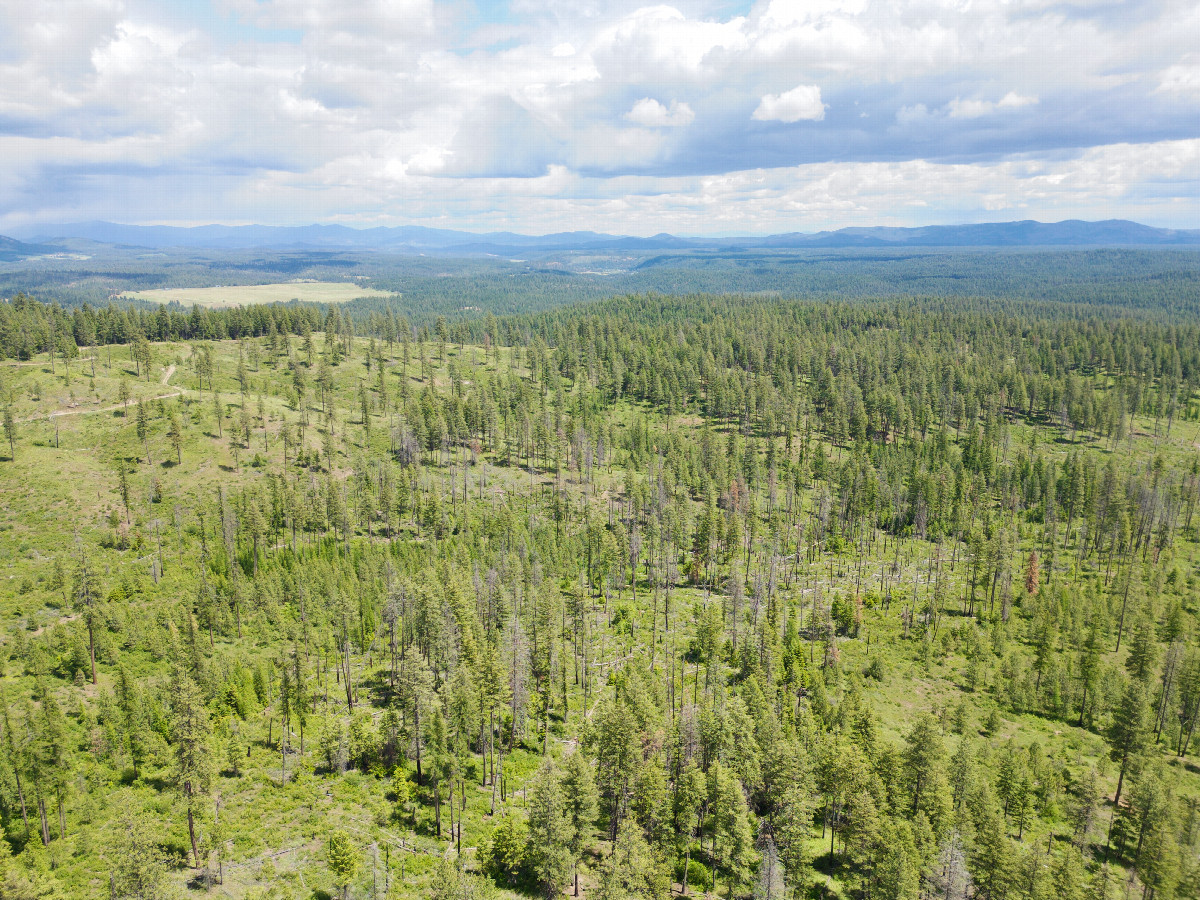 View East, from 120m above the point