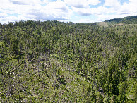 #11: View West, from 120m above the point