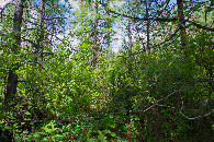 #2: View North