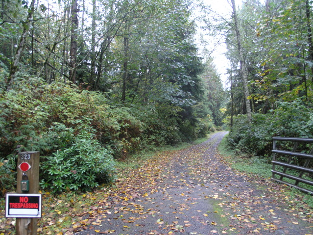 The confluence is inside the forest to the left of the driveway