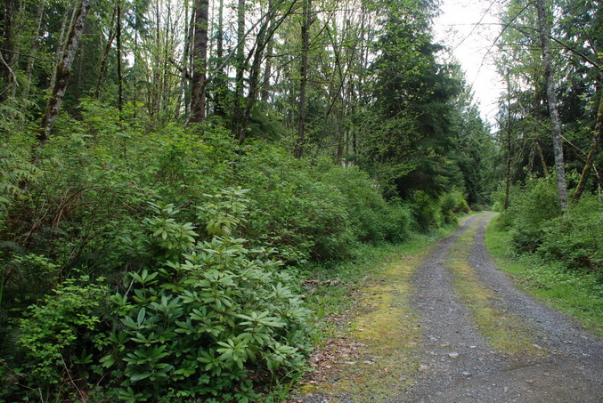 The driveway leading toward the confluence point