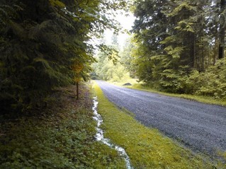 #1: Looking south, the private road extends several tens of meters.