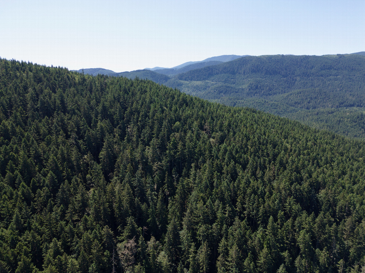 View South, from 120m above the point