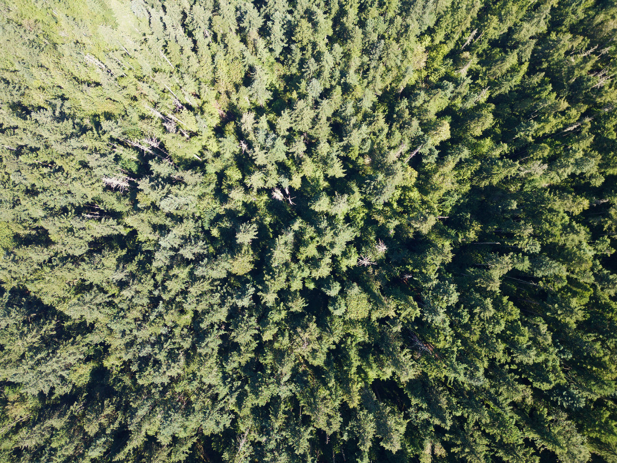 Looking down on the point from a height of 120m