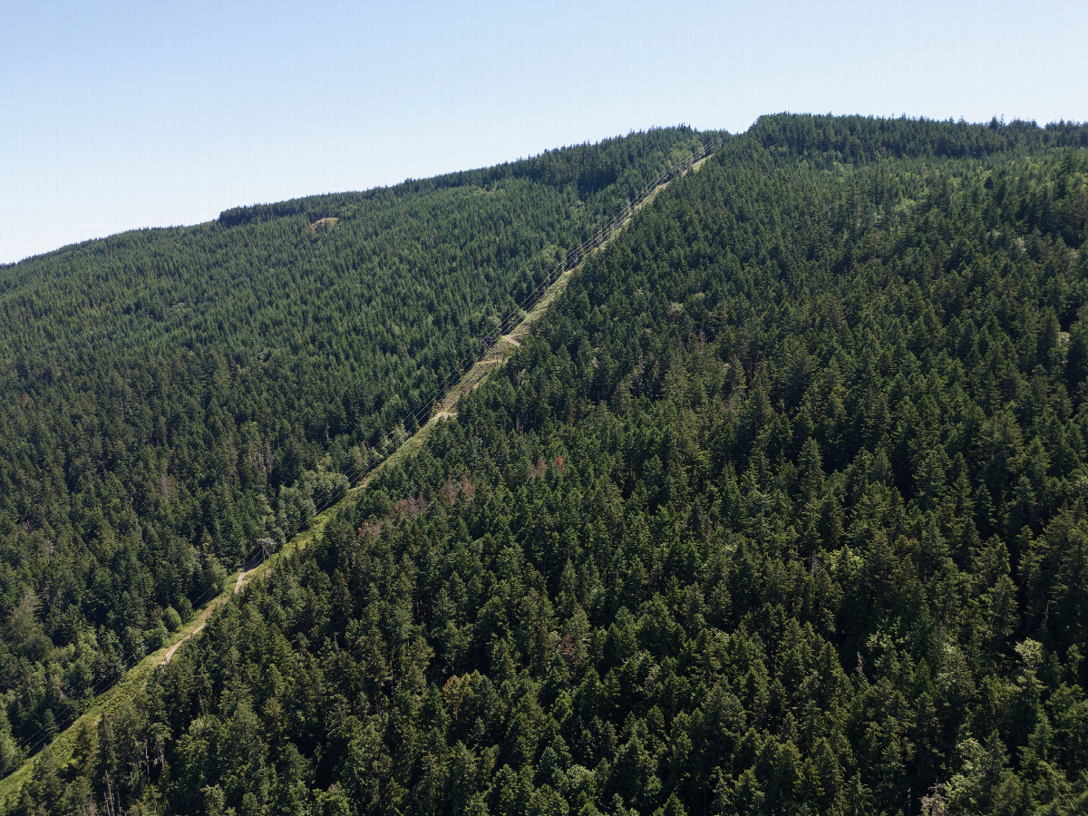 View East, from 120m above the point