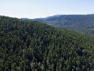 #10: View South, from 120m above the point