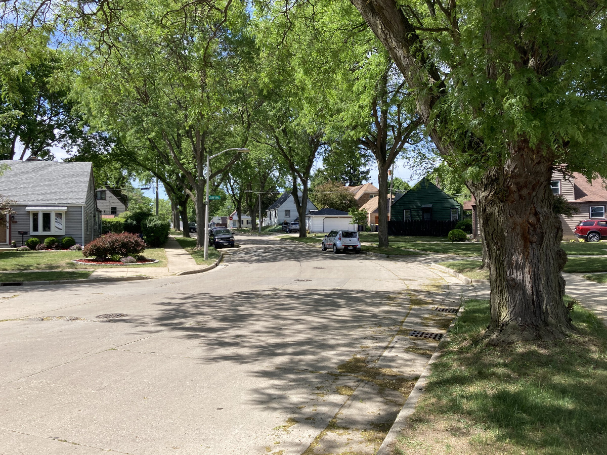 Looking north from the confluence