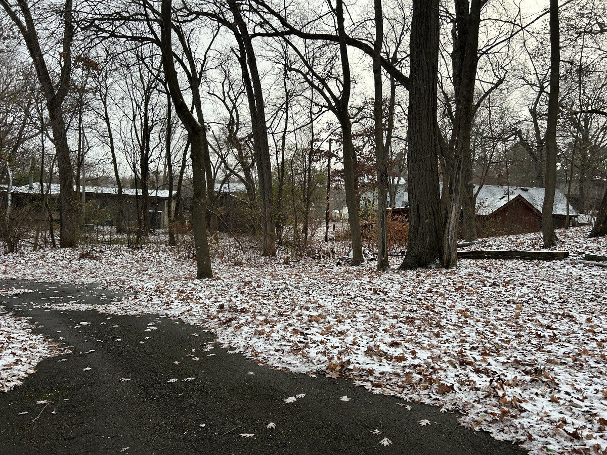 A view to the south from the confluence, towards other houses in the neighborhood and eventually US-12.