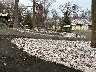 #2: A view to the north from the confluence, toward Alpine Village Lane's dead end.