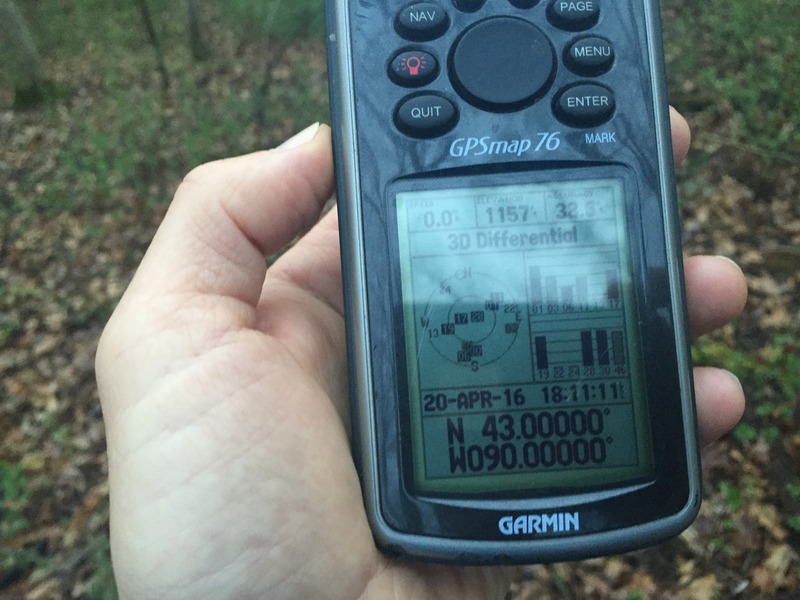 GPS reading at the confluence site. 