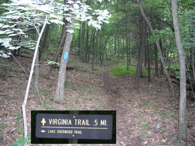 A half mile hike up the Virginia Trail provides an easy approach to 38N 80W.